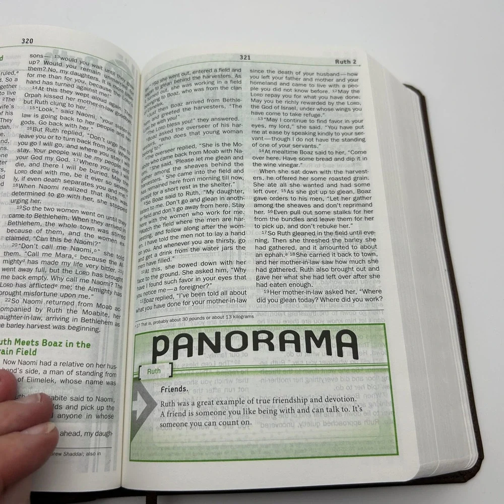 NIV Teen‎ Study Bible Zondervan Brown Leathersoft New International Version